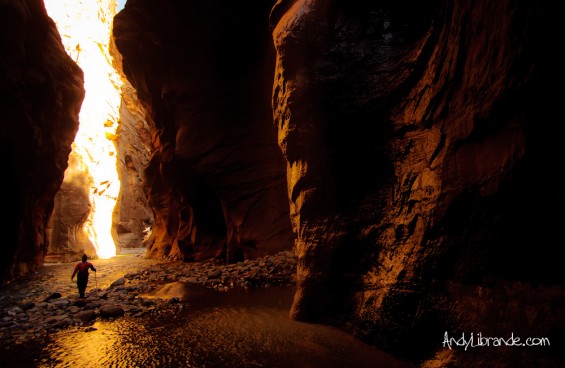 Golden Reflections in Zion Narrows March 2012